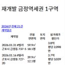 금정코리아 주식회사 이미지