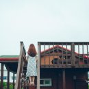 심쿵하개 애견미용 이미지