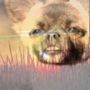 (주)조아라 이미지