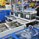 팔공수산 이미지