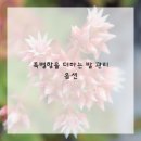 네일이야기 - 서구 | 네일이야기