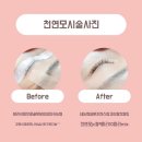 24시속눈썹잘하는집