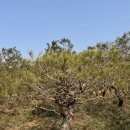 성주농원 이미지