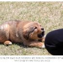 오수장어 이미지