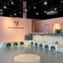 하이펫살롱 이미지