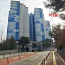 수성로258번길 이미지