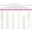 디어봄