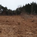 남해농장 이미지