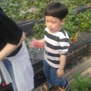 윤호농장 이미지