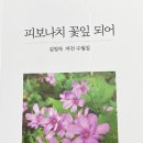 김정자 자전 수필집「 피보나치 꽃잎 되어」(2022. 11) 이미지