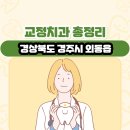 모화치과의원 | 경상북도 경주시 외동읍 교정치과 총정리