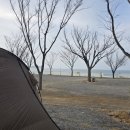 57 | 태안 신두57 캠핑장 후기｜바닷가 바로 옆 해루질 가능한 캠핑장