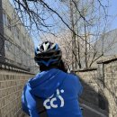 (주)투어메이트 | 북촌 한옥마을 아띠인력거 투어, 벚꽃 나들이 | 편하게즐겼던 북촌 데이트 코스 적극 추천