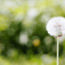 (주)좋은친구들 이미지