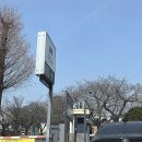 정독도서관 | 삼청동 북촌 공영주차장 정독도서관 이용 후기