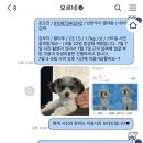 오르네(ornee) 이미지