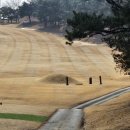 6260 | 경주 보문CC 라운딩 후기- 넓은 페어웨이가 주는 평온함, 하지만 무서운 파3...