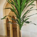 유성IC충전소 이미지