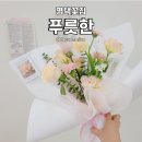 플로리스트(금) | 평택역꽃집 푸릇한 플로리스트의 금손으로 완성된 꽃다발 후기