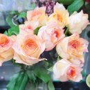 서린농장 이미지