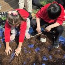 지니어스학원 이미지