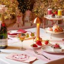 소노캄 고양 이미지