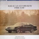 대우라디에타