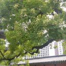송도삼절