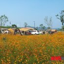 동강리오토캠핑장 이미지