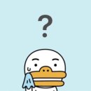 동아체육관(태권도) | 2024 국가대표 선수선발 최종전 직관 후기