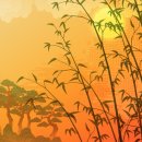 사군자 대나무 이미지