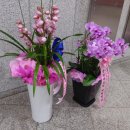 수성그린마트 이미지