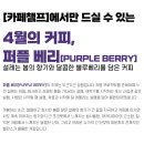퍼플베리