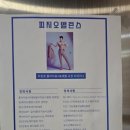 바른체형연구소스타핏필라테스