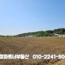 [국도21] 아산시 금산리