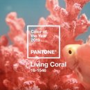 이백장산호점 | 리빙코랄 염색 : 2019 팬톤컬러로 사랑스러운 분위기 연출!