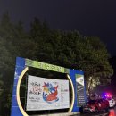 대덕전기 | 대덕 물빛축제 후기 | 비 오는 날의 벚꽃과 조명, 그리고 엔플라잉의 열정적인 무대까지