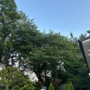 청산 | 광안리 오션뷰 맛집 청산1954 편백낙지보쌈 후기