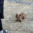 새재로그하우스 이미지