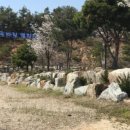 블루마린 캠핑장 이미지