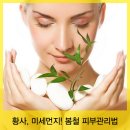 다몸&정피부