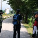 용문산 은행나무길(물소리길 6코스) 이미지