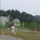 카사노바 에리켄넬 이미지