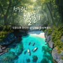 세종항공여행사 - 연제구 월드컵대로 83 | 청주출발 발리 패키지여행 꿈꾸던 신들의 섬, 청주공항 직항으로 만나는 발리 3박5일 여유와 낭만