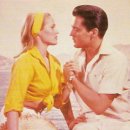 Elvis Presley -- The Bullfighter Was A Lady 이미지