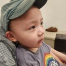 목동키즈웰소아청소년과의원 네이버블로그