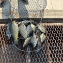 남창낚시터 이미지