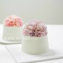 케이트앤케이크(KATENCAKE)