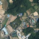 올리브부동산중개사무소 이미지