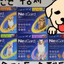 정자약국 이미지